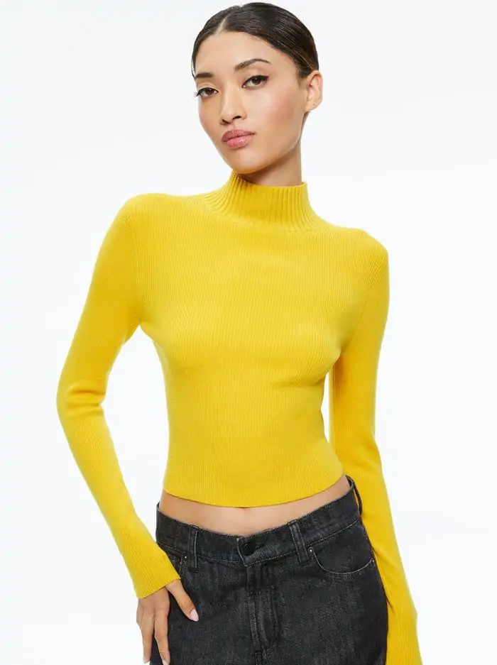 SENAIDA CROPPED MOCK NECK PULLOVER